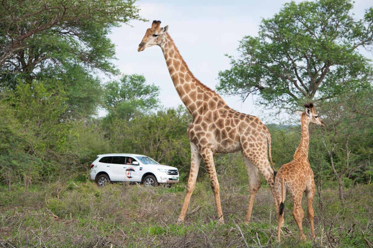 Twiga Travel Villa Hoedspruit Bagian luar foto